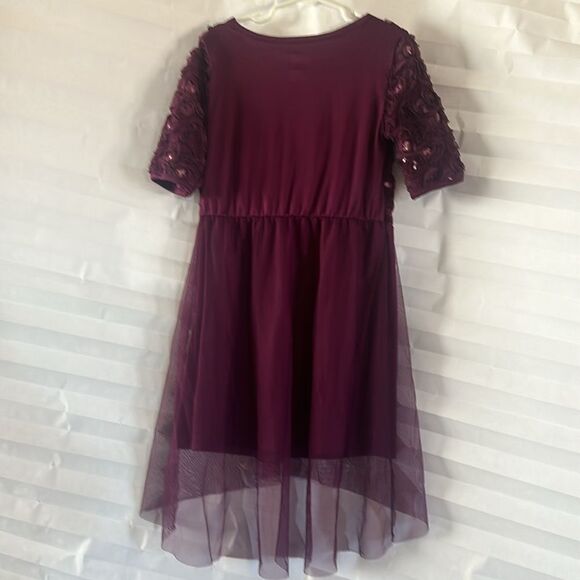 Wonder Nation Girl’s Royal Purple Tulle Dress w/ Roses Size M 7-8 Party Formal - Picture 2 of 4
